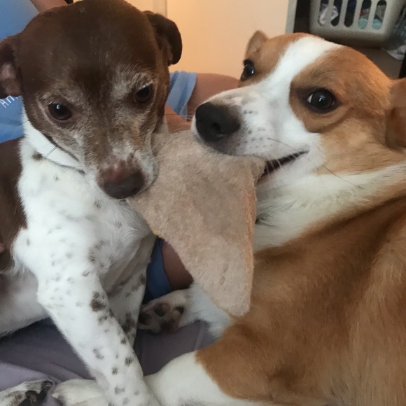 Meet Your Posher - Picture 3 of 7